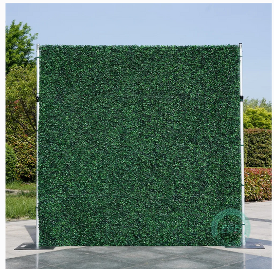 Boxwood Backdrop Rental