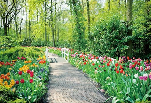 Spring Blooming Nature Walk Path Backdrop 10x6.5ft